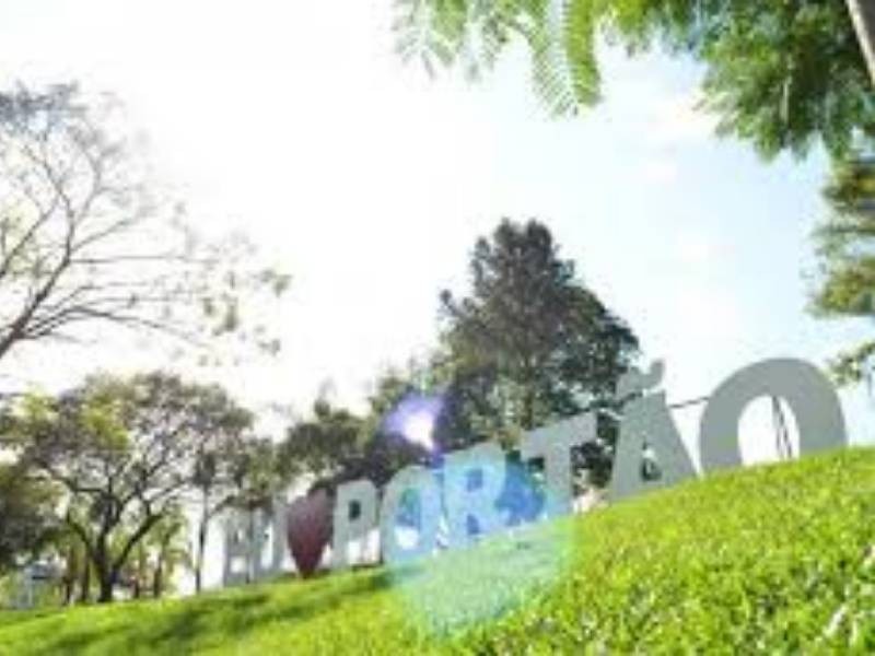 Portão