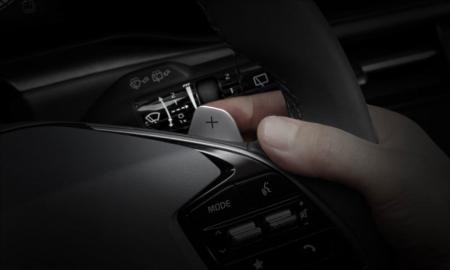 Shift-paddles