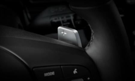 Paddle Shift